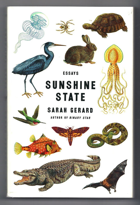 Sunshine State: Essays by Sarah Gerard