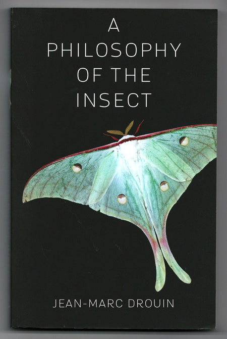 A Philosophy of the Insect by Jean-Marc Drouin