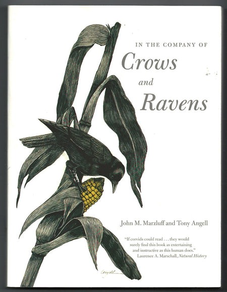 In the Company of Crows and Ravens by John M. Marzluff