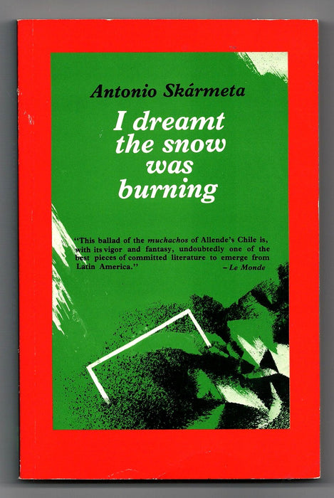 I Dreamt the Snow Was Burning by Antonio Skármeta