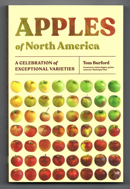 Apples of North America: A Celebration of Exceptional Varieties by Tom Burford