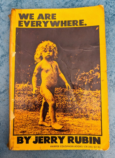 We Are Everywhere by Jerry Rubin