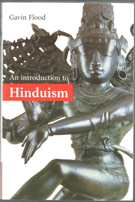 An Introduction to Hinduism by Gavin D. Flood