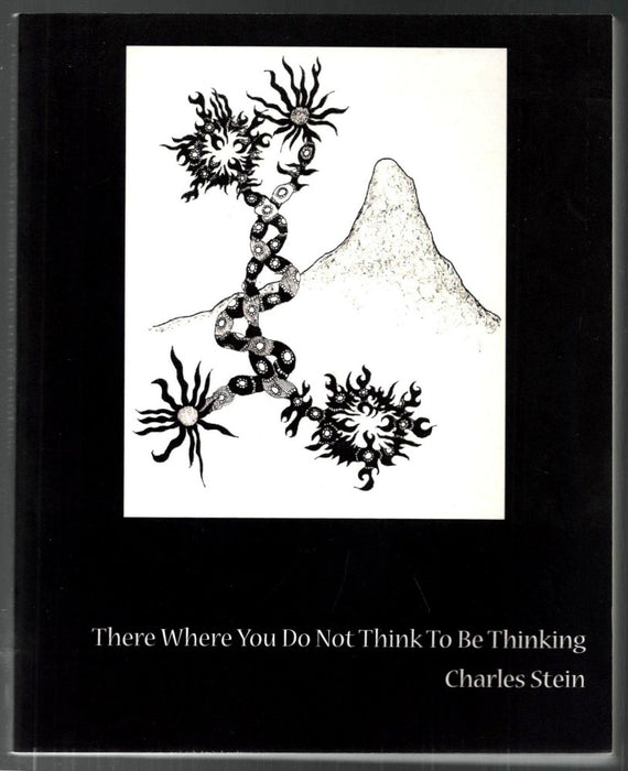 There Where You Do Not Think To Be Thinking: Views From Tornado Island, Book 12 by Charles Stein